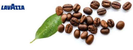 Kawa ziarnista Lavazza Expert Aroma Top 1kg - obrazek 13